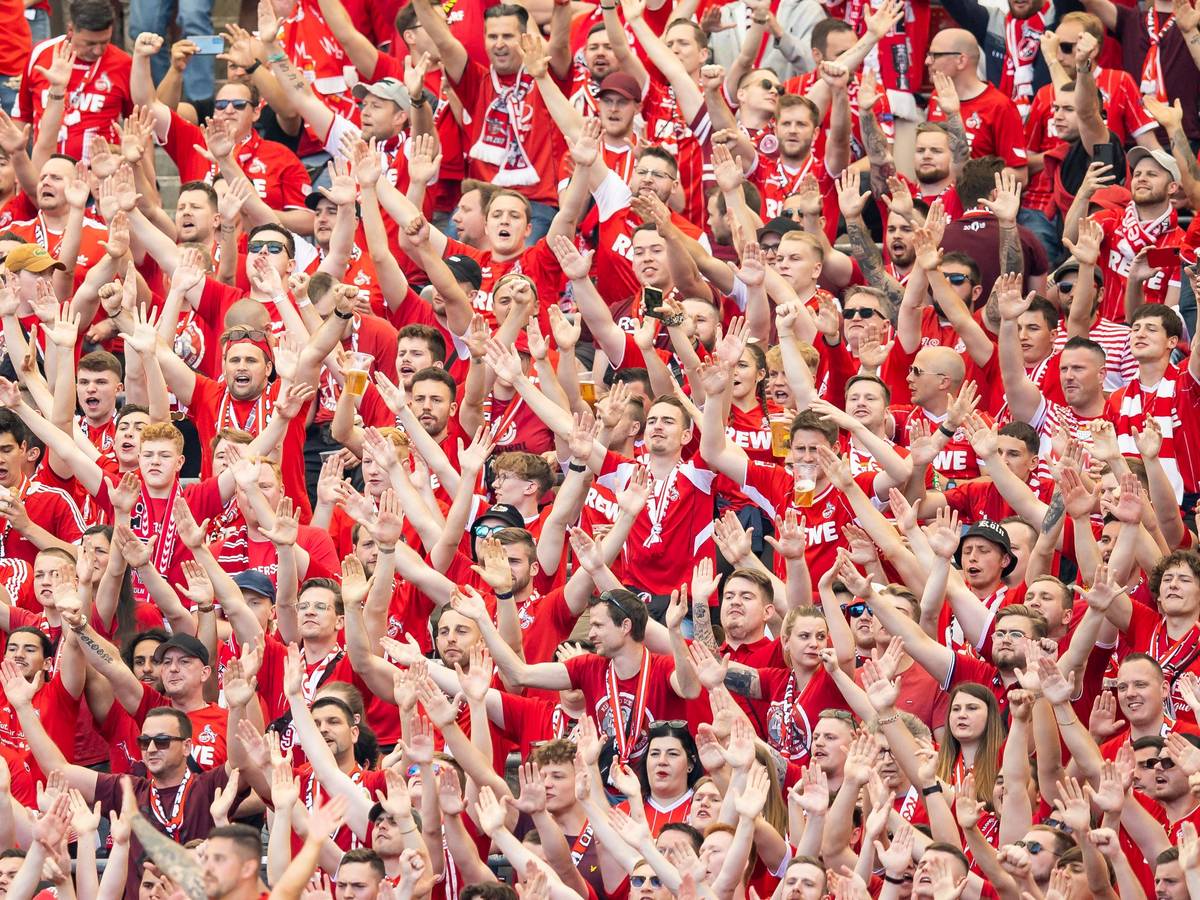 Die Fans im Gästeblock des 1. FC Köln sind in rot gekleidet.