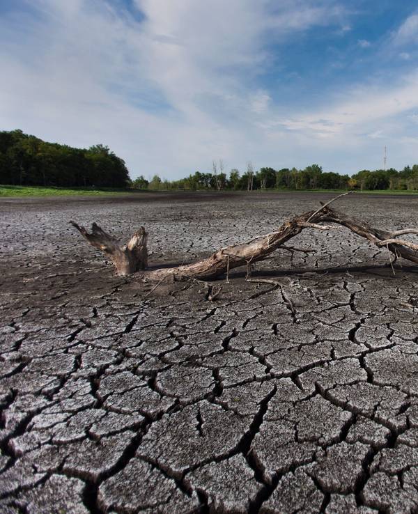 Temperaturen von über 50 Grad, in manchen Regionen könnte das schon bald regelmäßig der Fall sein. Unser Foto zeigt einen ausgetrockneten See in Indiana.