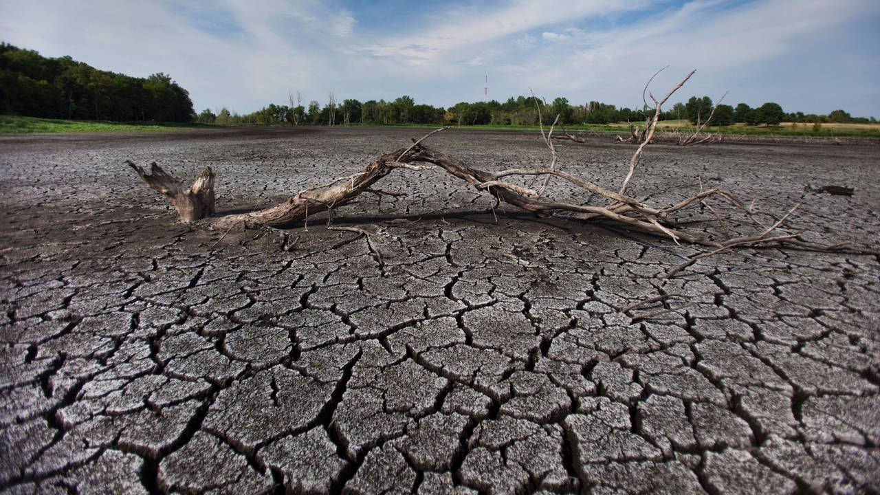 Temperaturen von über 50 Grad, in manchen Regionen könnte das schon bald regelmäßig der Fall sein. Unser Foto zeigt einen ausgetrockneten See in Indiana.