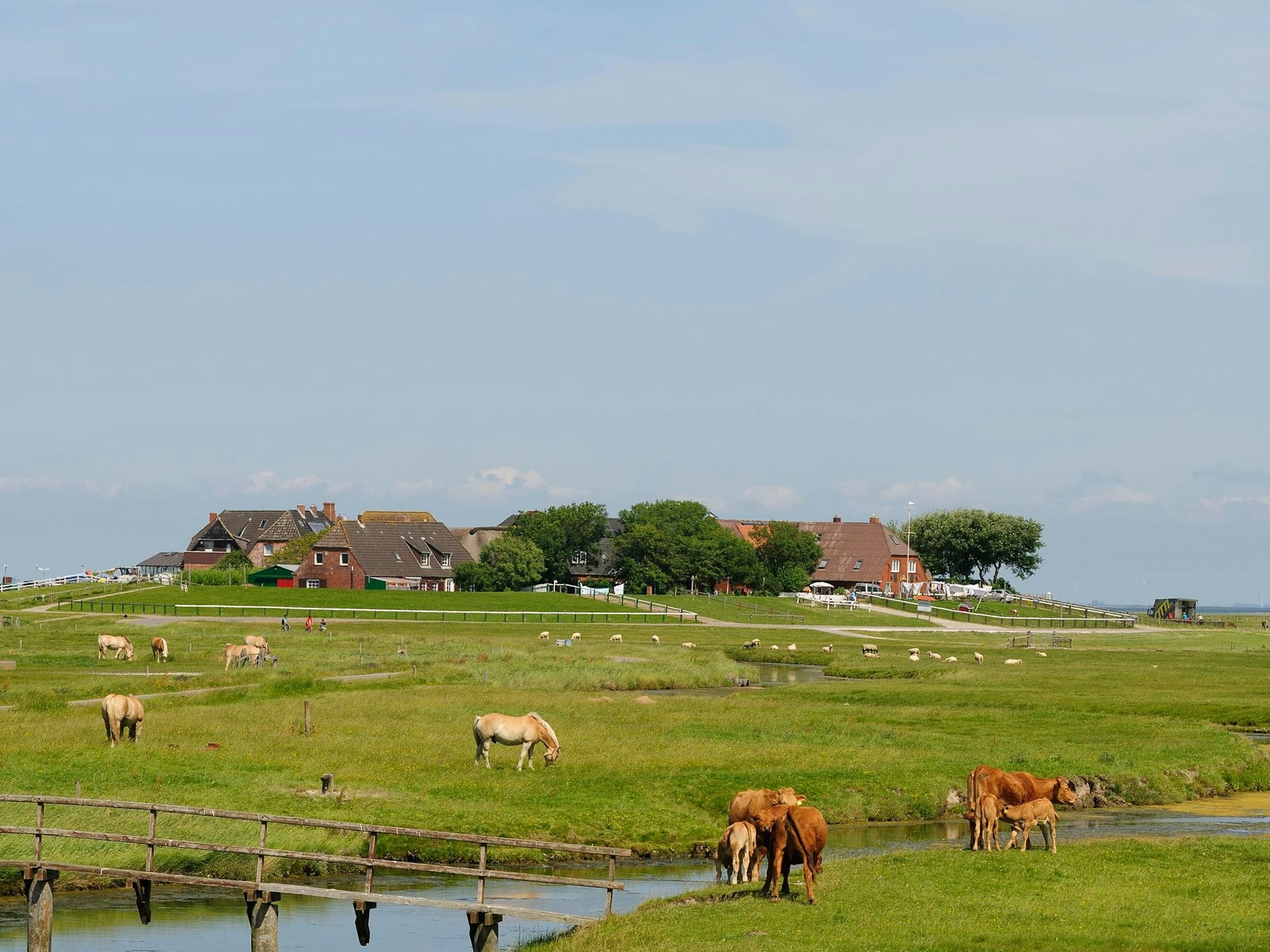 Auf der Marschinsel Hooge geht alles etwas langsamer zu.