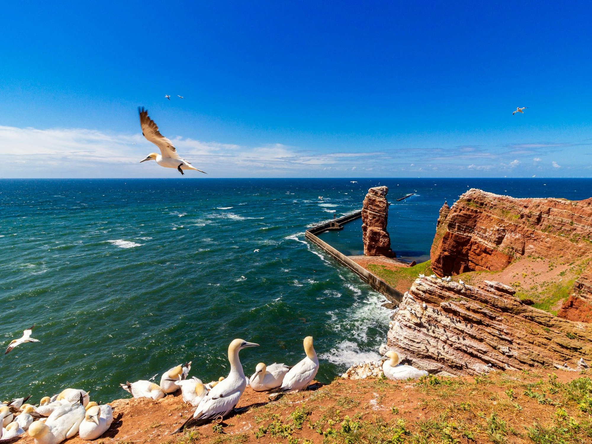 Helgoland gehört zu den beeindruckendsten Sehenswürdigkeiten von Schleswig-Holstein.
