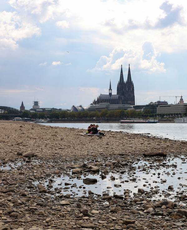 Niedrigwasser von 75 cm am Rheinufer zwischen Hohenzollernbrücke und Zoobrücke Foto (Foto vom 15.08.2022)