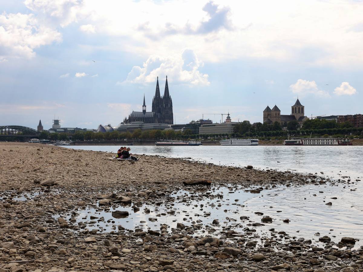 Niedrigwasser von 75 cm am Rheinufer zwischen Hohenzollernbrücke und Zoobrücke Foto (Foto vom 15.08.2022)