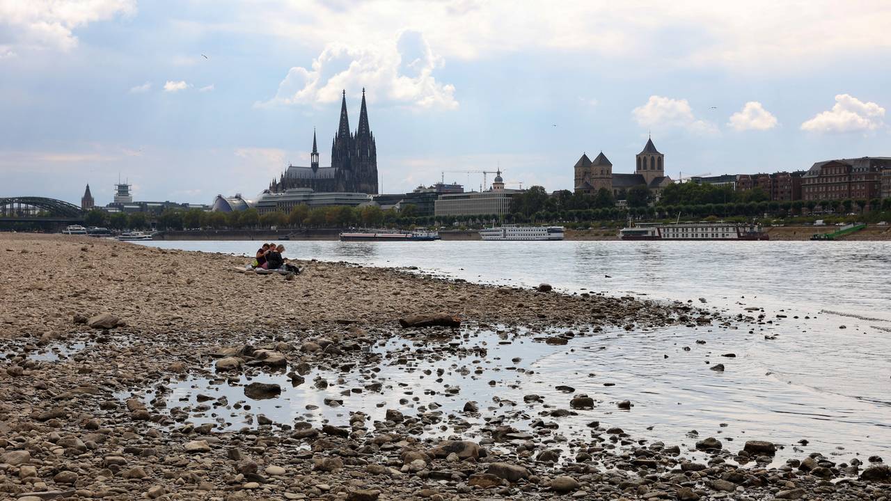 Niedrigwasser von 75 cm am Rheinufer zwischen Hohenzollernbrücke und Zoobrücke Foto (Foto vom 15.08.2022)