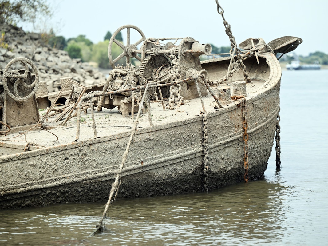 Ein altes Schiffswrack ist wegen des niedrigen Rheinpegels komplett zu sehen.