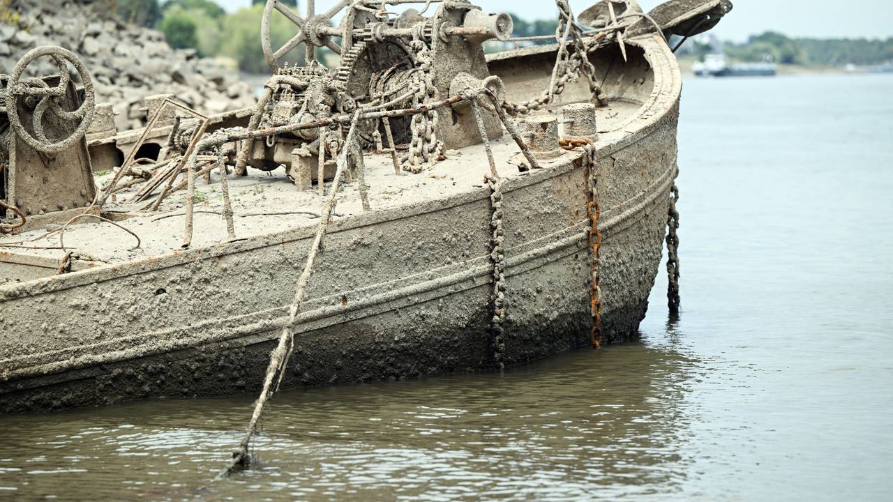 Ein altes Schiffswrack ist wegen des niedrigen Rheinpegels komplett zu sehen.