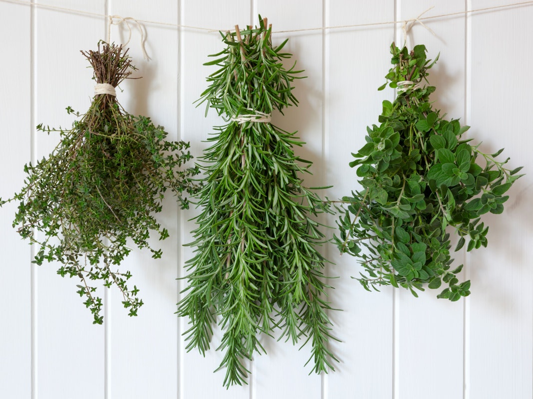 Getrocknete Kräuter: Mit der richtigen Methode bleiben sie aromatisch und lecker.