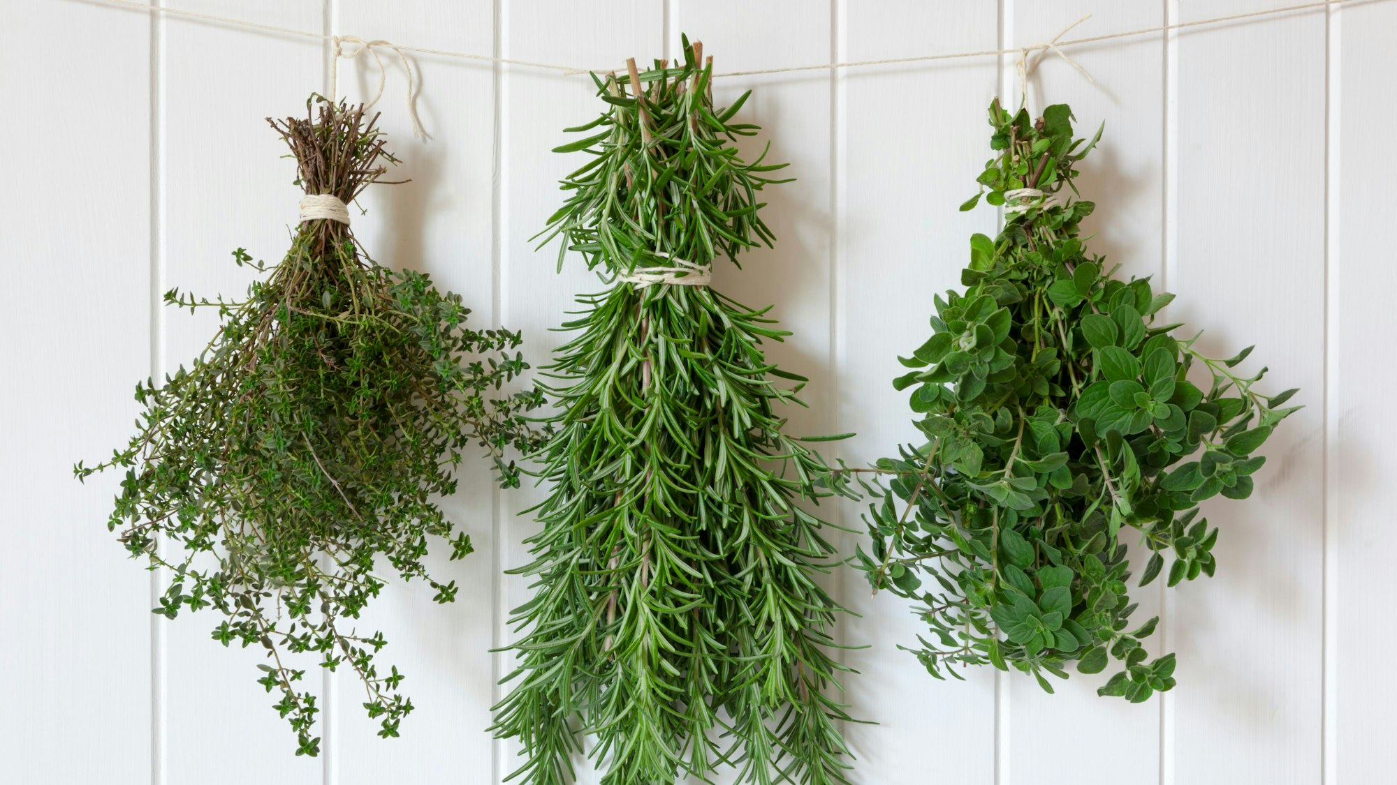 Getrocknete Kräuter: Mit der richtigen Methode bleiben sie aromatisch und lecker.