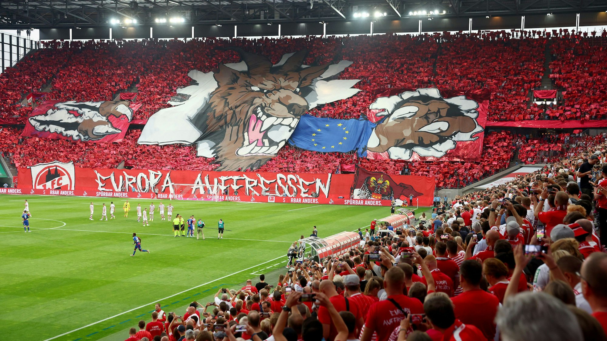 Die Fans des 1. FC Köln sind vor dem Playoff-Hinspiel gegen Fehérvár bereit für Europa, wie die große Choreographie im Rhein-Energie-Stadion zeigt.