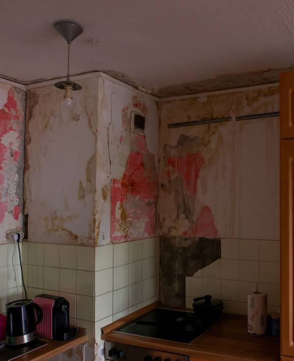 Blick in eine Wohnung mit Schimmelbefall.