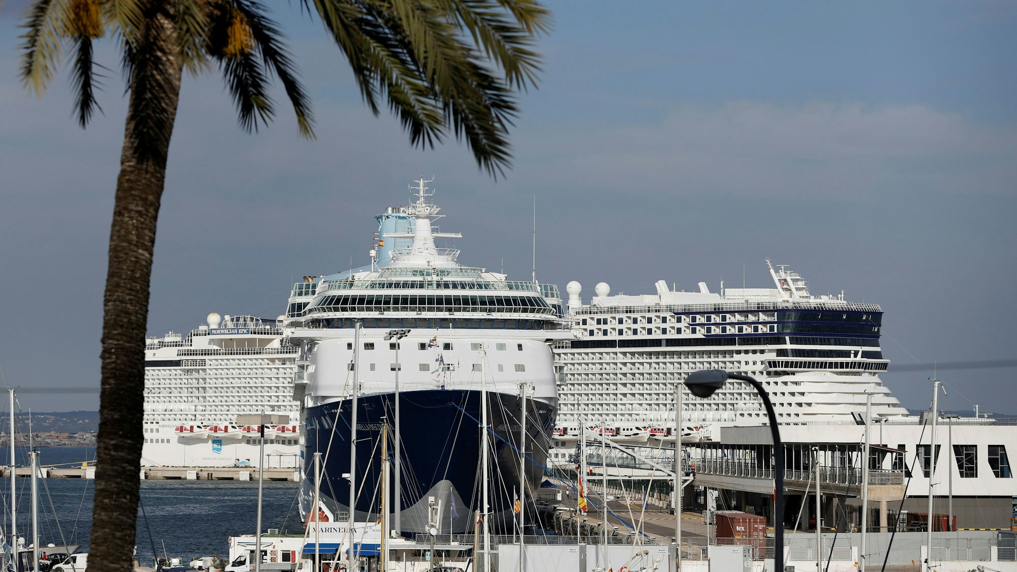 Eigentlich hat Palma die Anzahl der Kreuzfahrtschiffe begrenzt. Hier die Marella Discovery 2 und die Norwegian Epic im Mai 2022 in Palma.