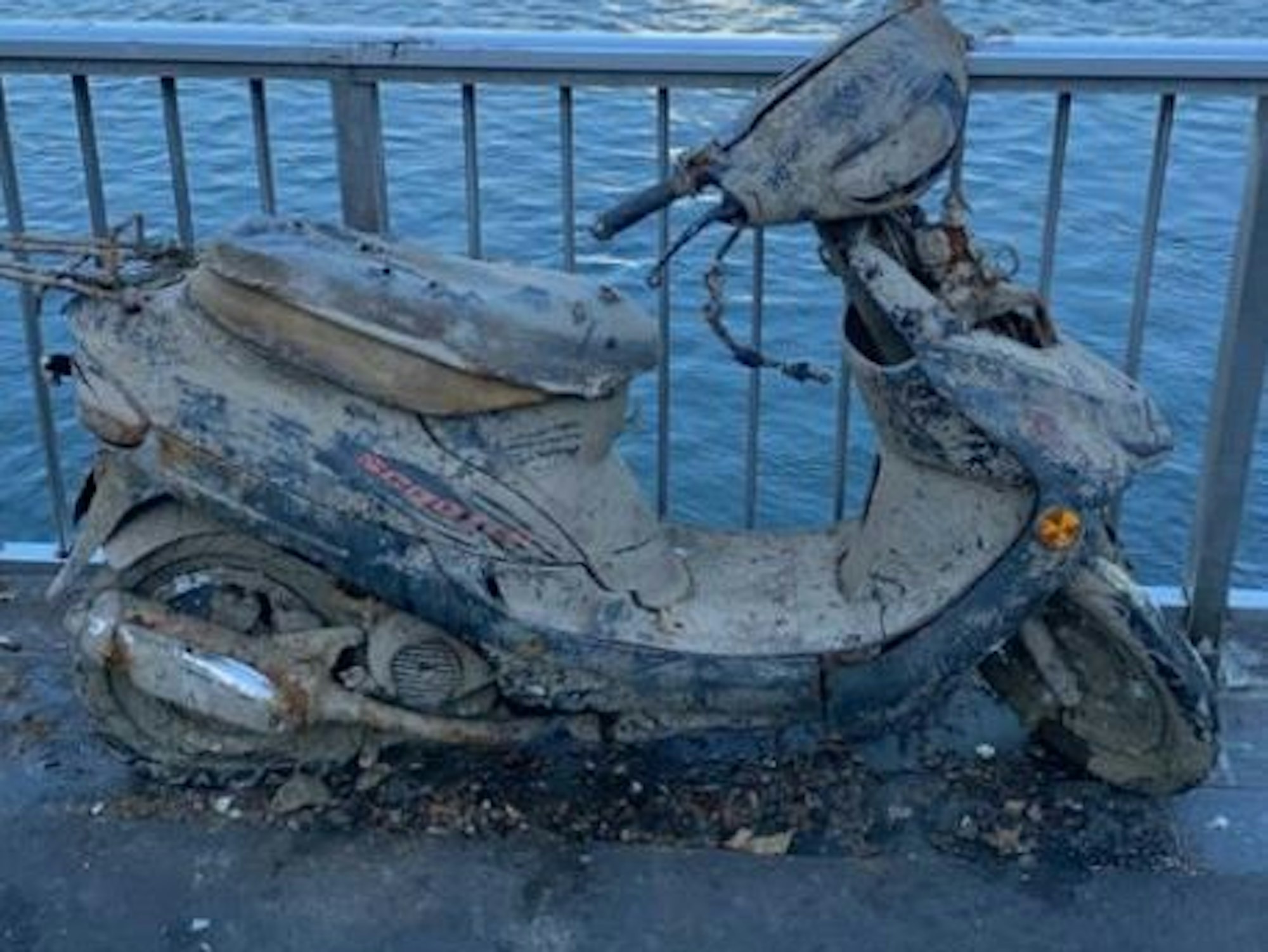 Ein Motorroller aus dem Rhein liegt am Ufer.