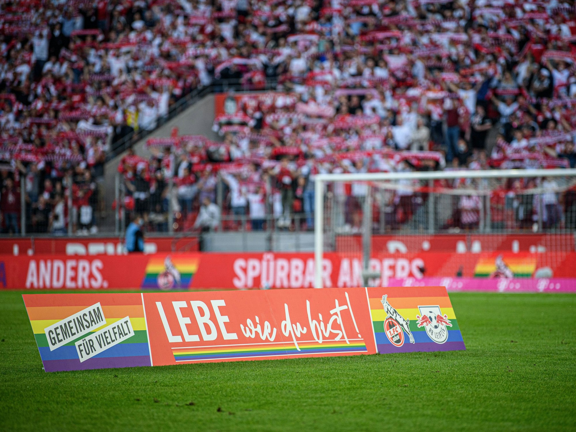 Ein Aufsteller „Lebe wie du bist!“ steht auf dem Rasen des Rhein-Energie-Stadions in Köln.
