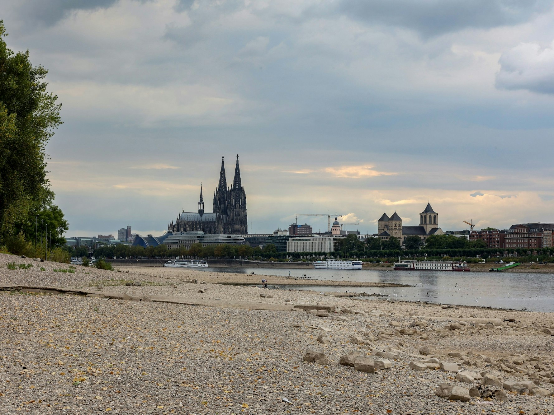 Der Rhein mit extremem Niedrigwasser, dahinter ist der Kölner Dom zu sehen.