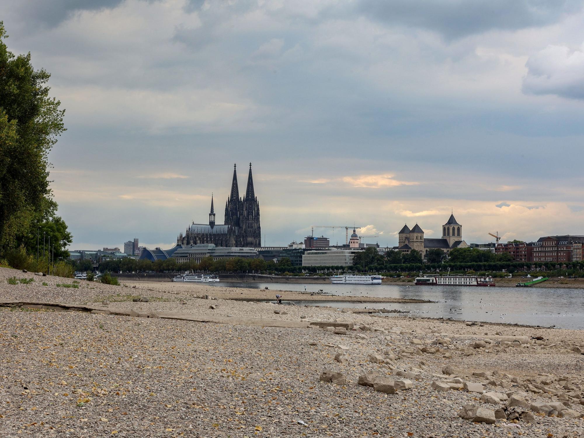 Der Rhein mit extremem Niedrigwasser, dahinter ist der Kölner Dom zu sehen.
