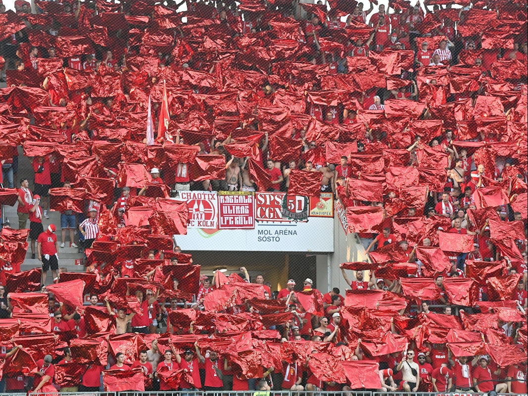 Fans des 1. FC Köln beim Playoff-Spiel beim Fehérvár FC auf der Tribüne