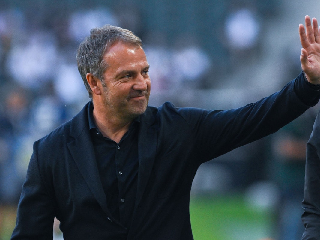 Hansi Flick winkt bei einem Deutschland-Spiel auf die Tribüne.