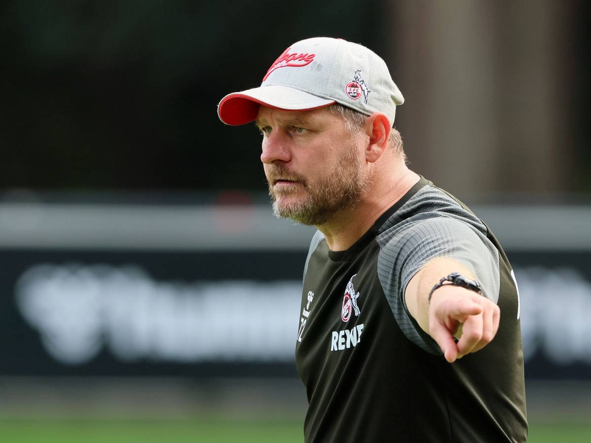 Steffen Baumgart gestikuliert auf dem Trainingsplatz des 1. FC Köln.