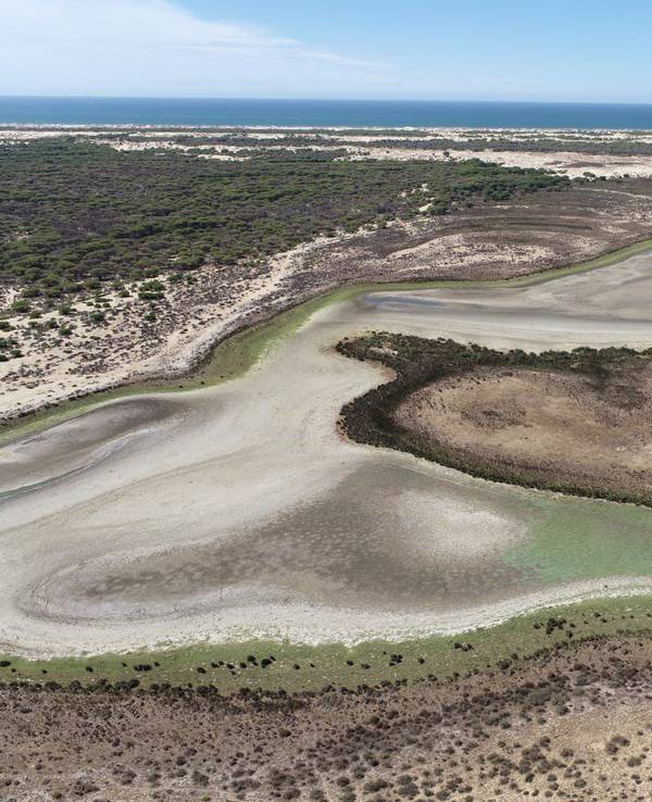 Eine Luftaufnahme der Lagune Santa Olalla am 2. September 2022. Der Nationalpark Coto de Doñana im Süden Spaniens, eines der wichtigsten Feuchtgebiete Europas, ist ausgetrocknet.