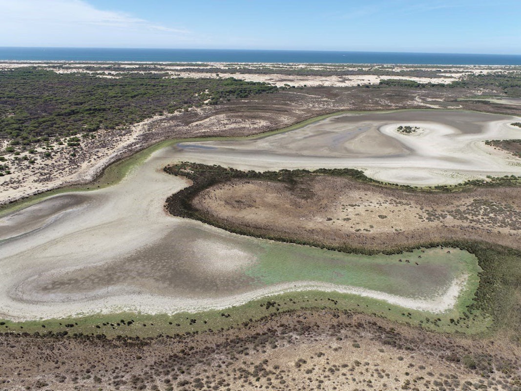 Eine Luftaufnahme der Lagune Santa Olalla am 2. September 2022. Der Nationalpark Coto de Doñana im Süden Spaniens, eines der wichtigsten Feuchtgebiete Europas, ist ausgetrocknet.