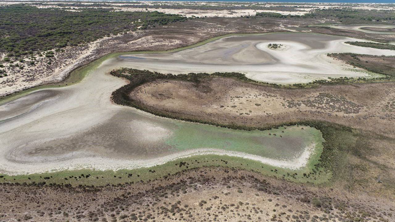 Eine Luftaufnahme der Lagune Santa Olalla am 2. September 2022. Der Nationalpark Coto de Doñana im Süden Spaniens, eines der wichtigsten Feuchtgebiete Europas, ist ausgetrocknet.