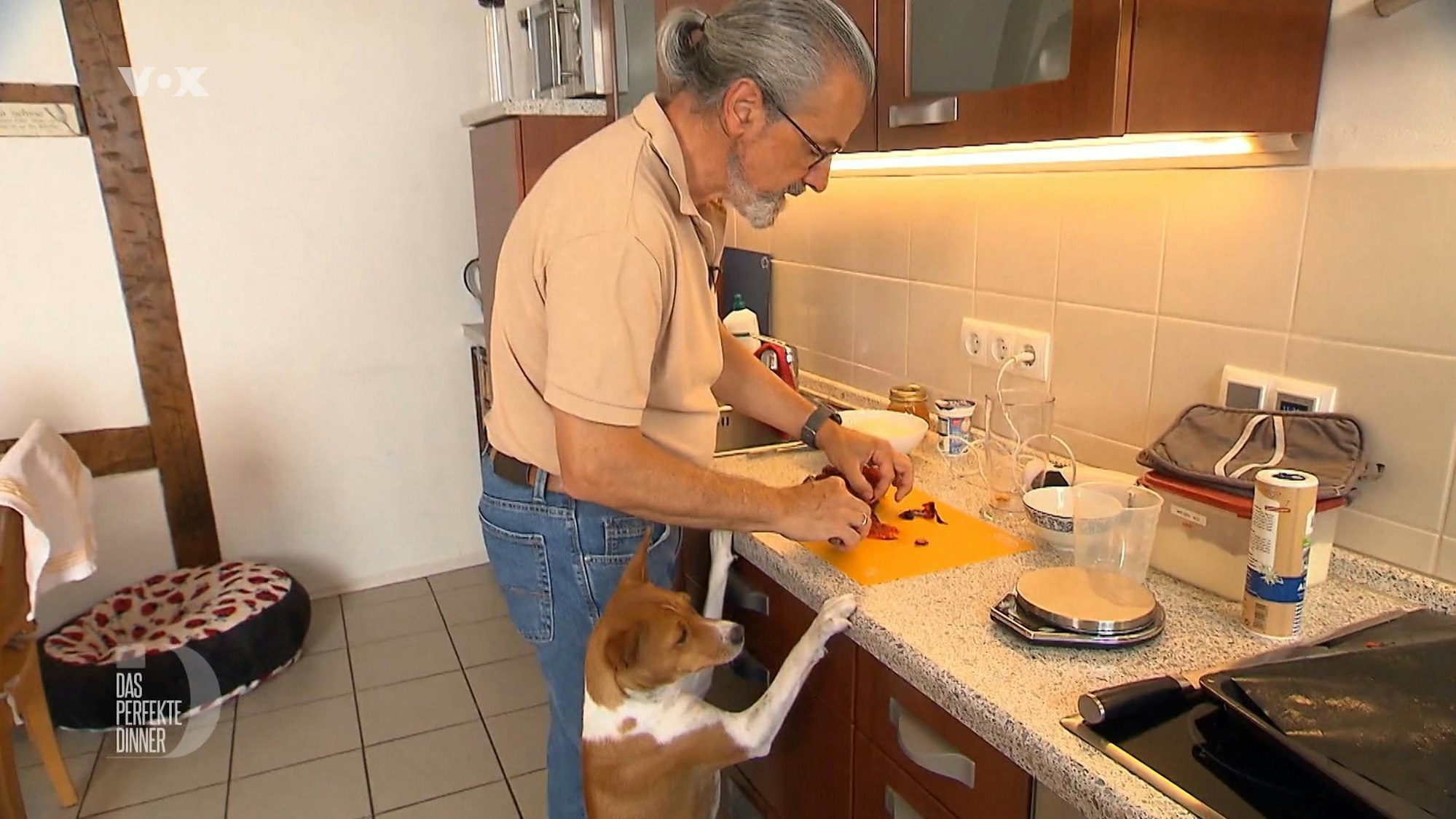 Hund „Evita“ ist immer dabei: Tag zwei bei Thomas in der Pfalz.