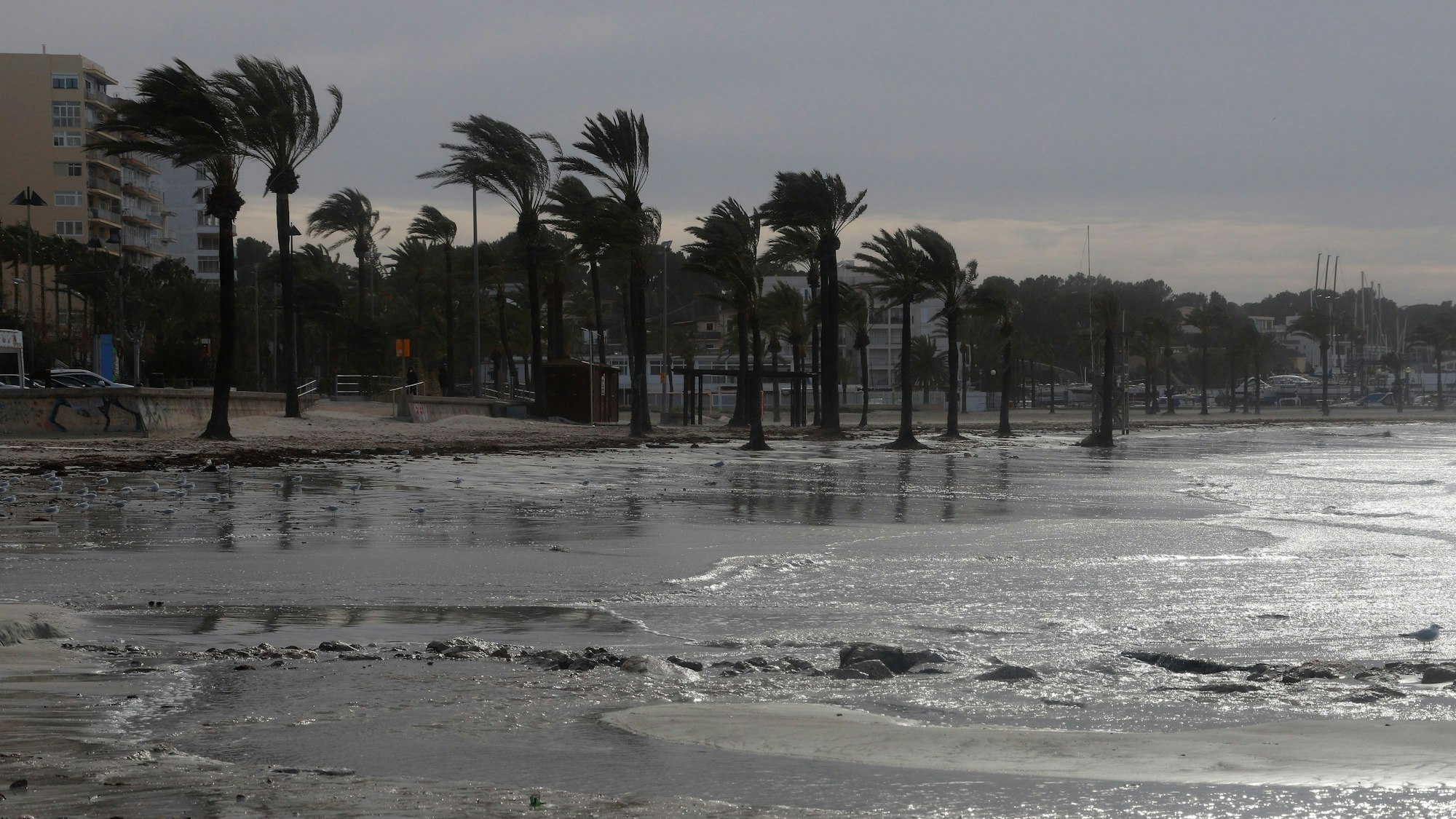 Bei einem Unwetter auf Mallorca sind zwei Urlauber ums Leben gekommen. Hier ein Archivfoto von einem Unwetter auf der Insel.