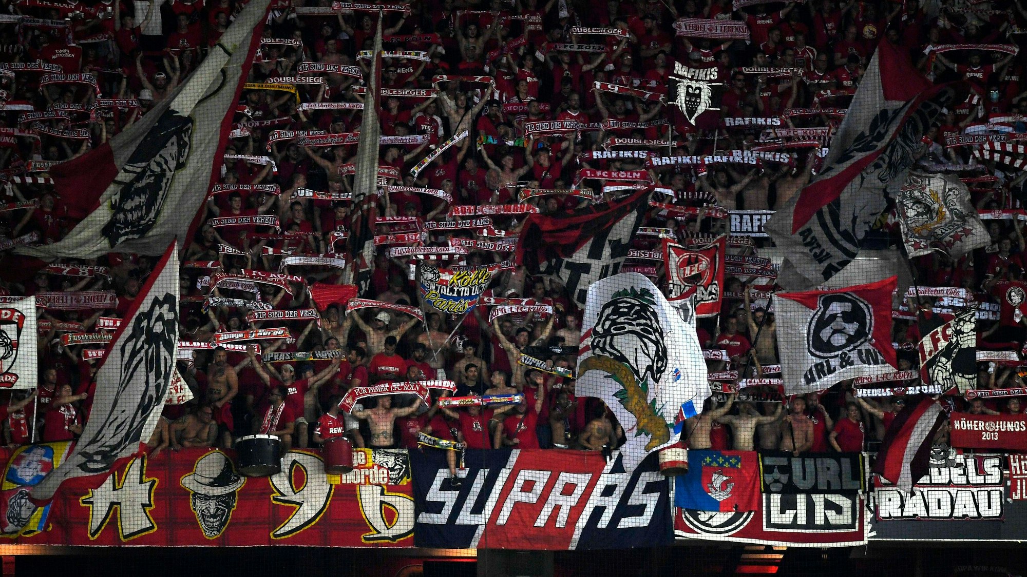 Fans des 1. FC Köln halten in der Kurve beim Spiel in Nizza ihre Schals in die Höhe