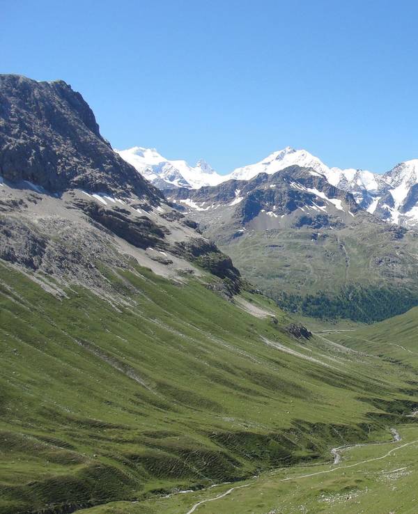 Die Alpen: Blick vom Val da Fain auf den Piz Bernina in der Schweiz.