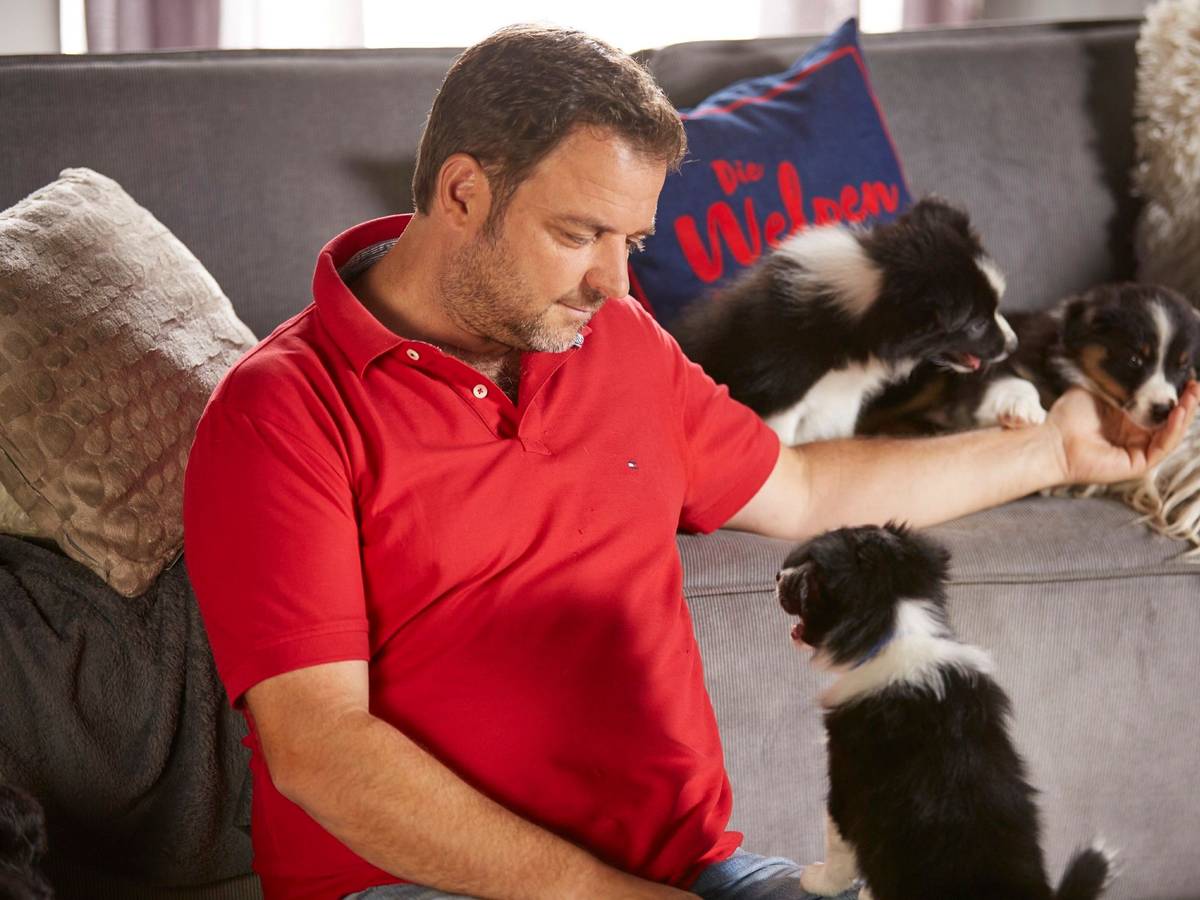 Hundeprofi Martin Rütter mit Welpen