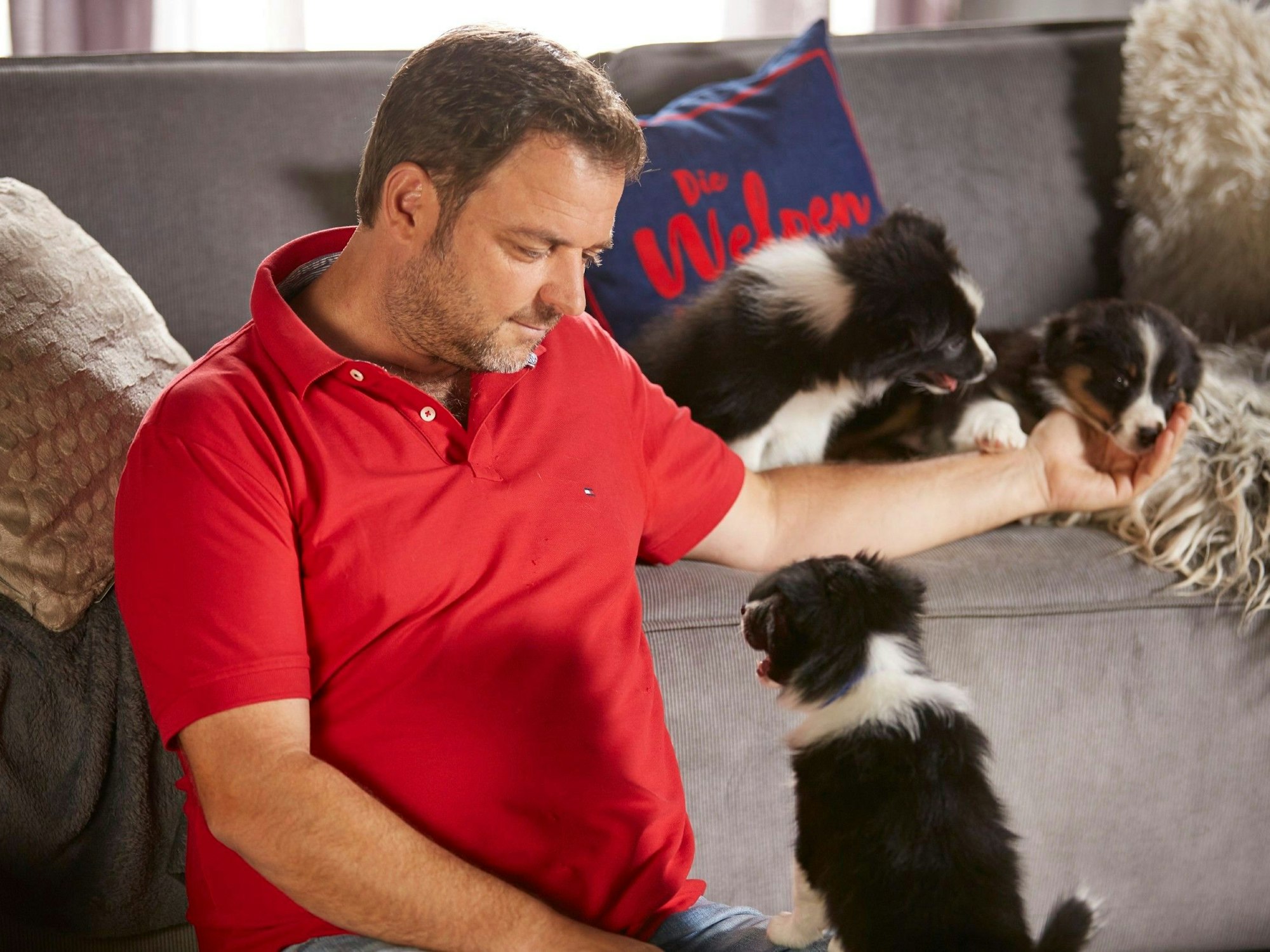 Hundeprofi Martin Rütter mit Welpen