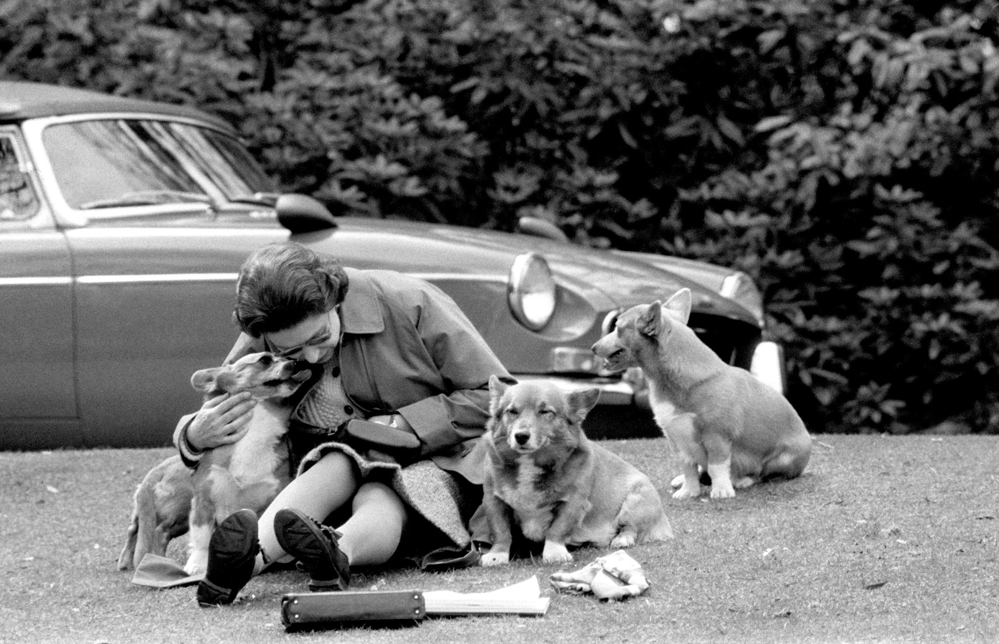 Königin Elizabeth II. sitzt mit ihren damaligen Corgis am 12. Mai1973 auf einer Wiese in Virginia Water. Eine lebenslange Liebe verband Elizabeth II. mit den kleinen Hunden.