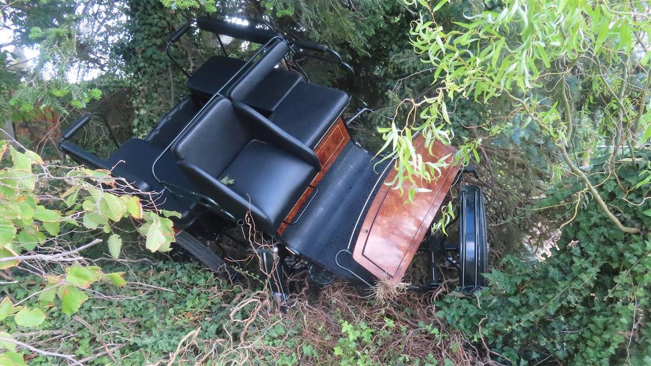 Die Kutsche wurde in ein Gebüsch geschleudert.