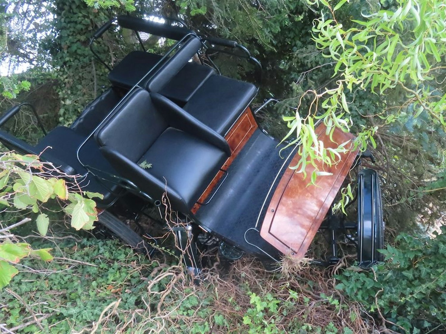 Die Kutsche wurde in ein Gebüsch geschleudert.