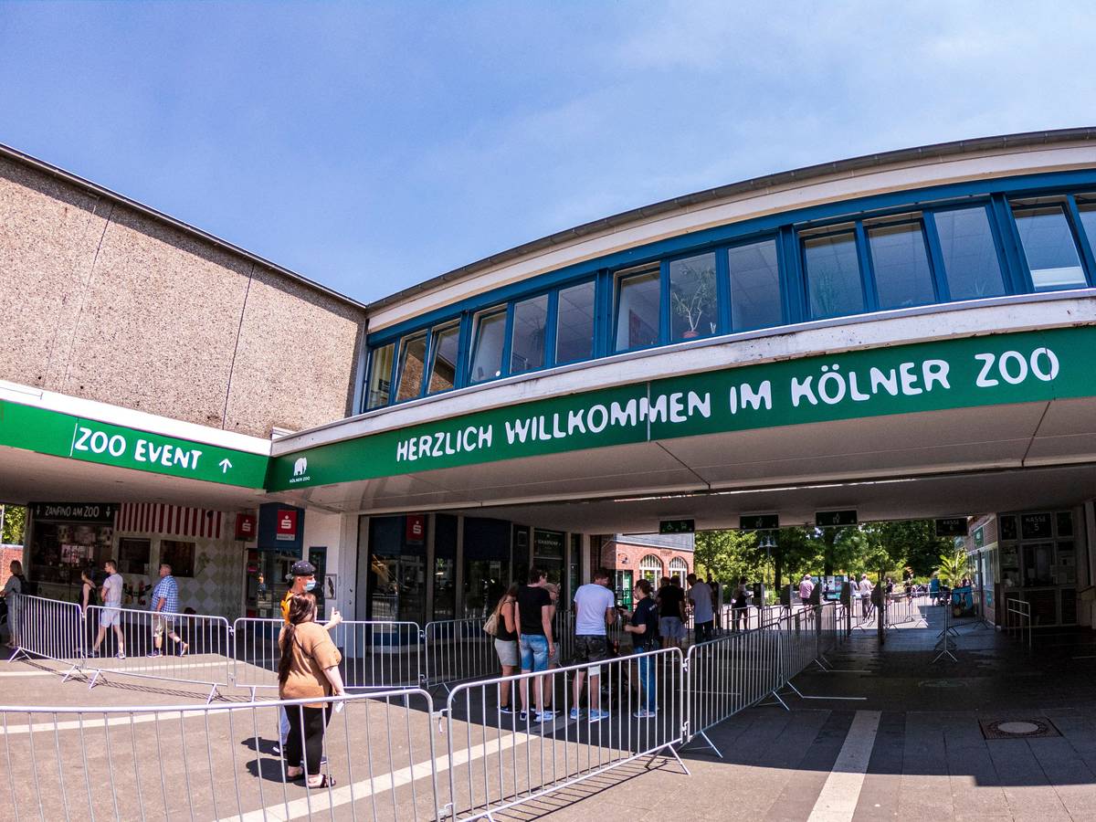 Menschen stehen am Eingang des Kölner Zoos an.