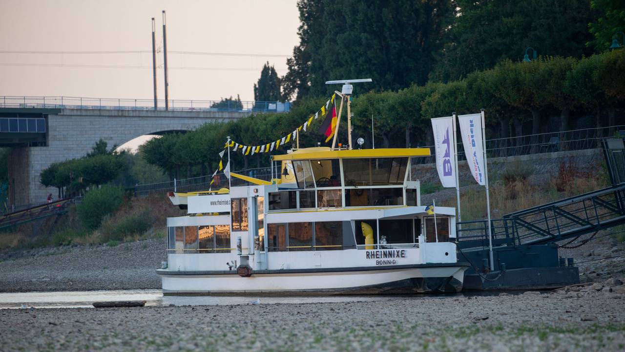 Die Personenfähre Rheinnixe, die zwischen Beuel und Bonn verkehrt, liegt fast auf dem Trockenen.