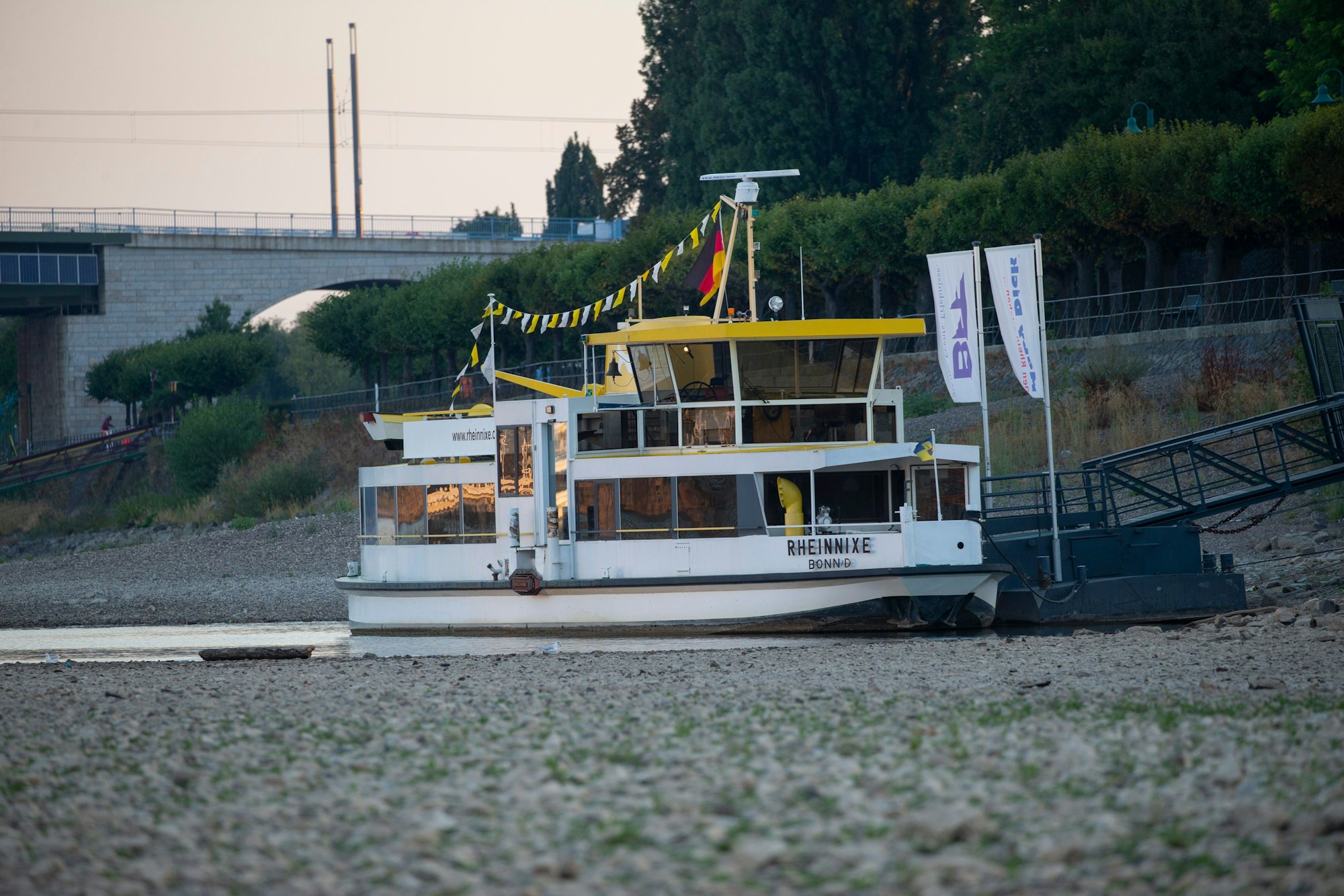 Die Personenfähre Rheinnixe, die zwischen Beuel und Bonn verkehrt, liegt fast auf dem Trockenen.