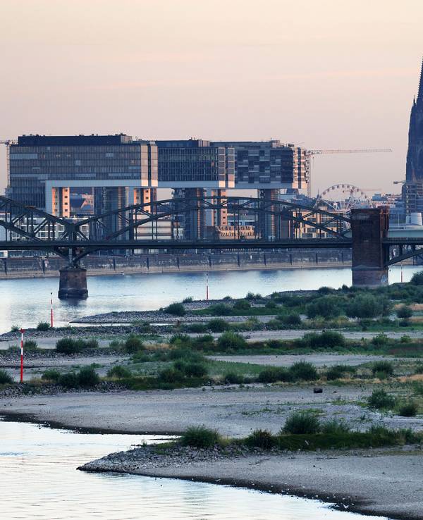 Das Kölner Rheinufer bei den Poller Wiesen im August 2022 vor dem Dom und den Kranhäusern.