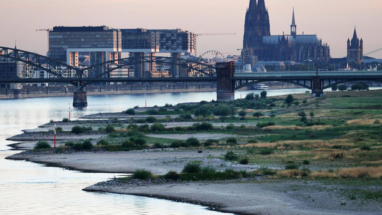 Das Kölner Rheinufer bei den Poller Wiesen im August 2022 vor dem Dom und den Kranhäusern.