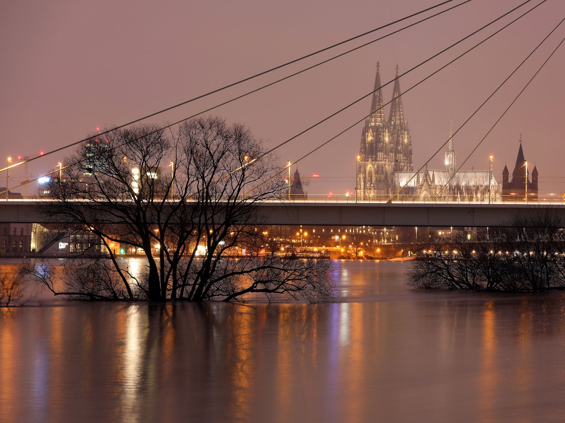 Bäume stehen vor der Severinsbrücke im Hochwasser des Rheins.