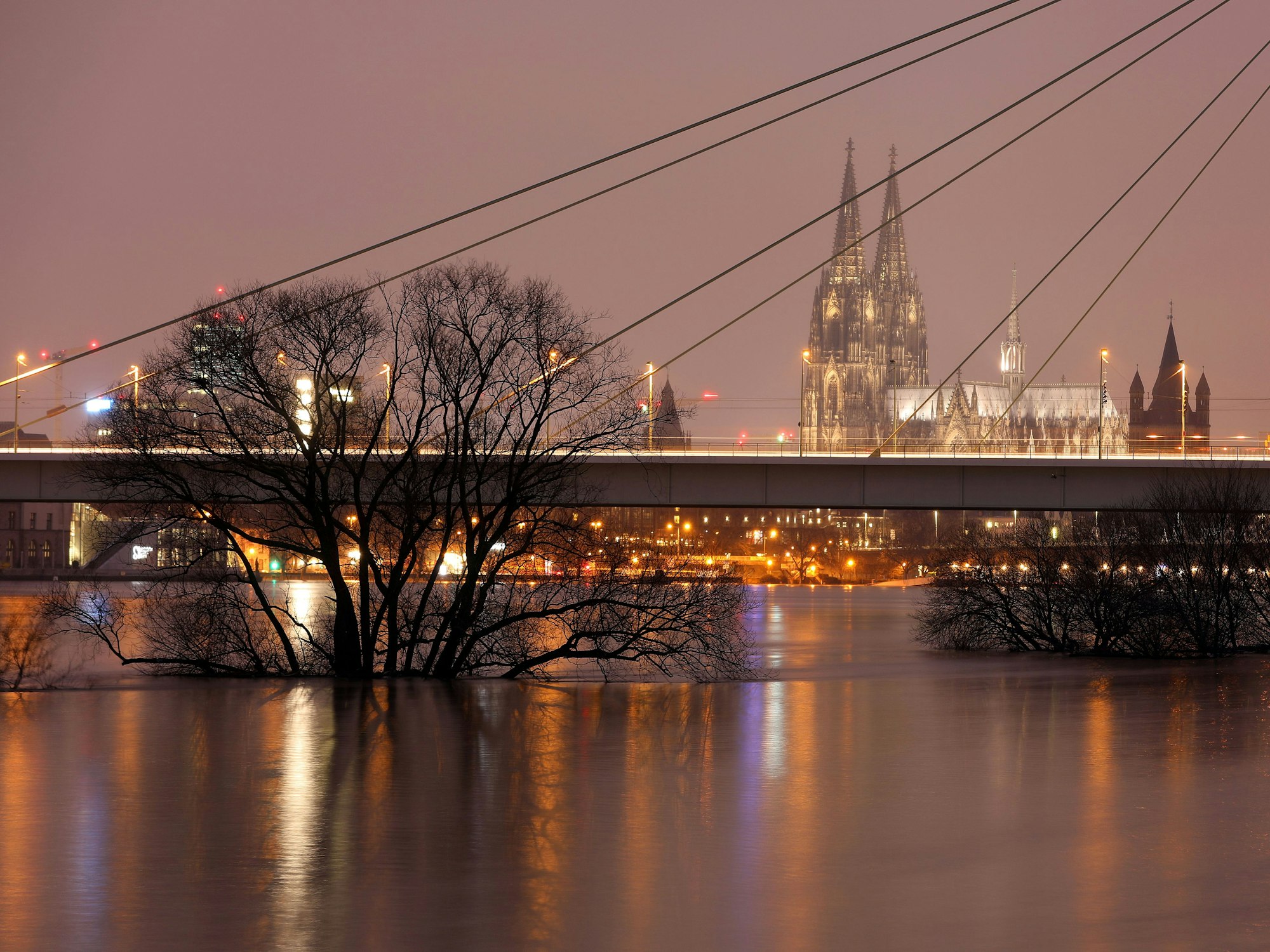 Bäume stehen vor der Severinsbrücke im Hochwasser des Rheins.