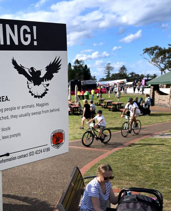 Ein Hinweisschild warnt vor aggressiven Elstern in Australien