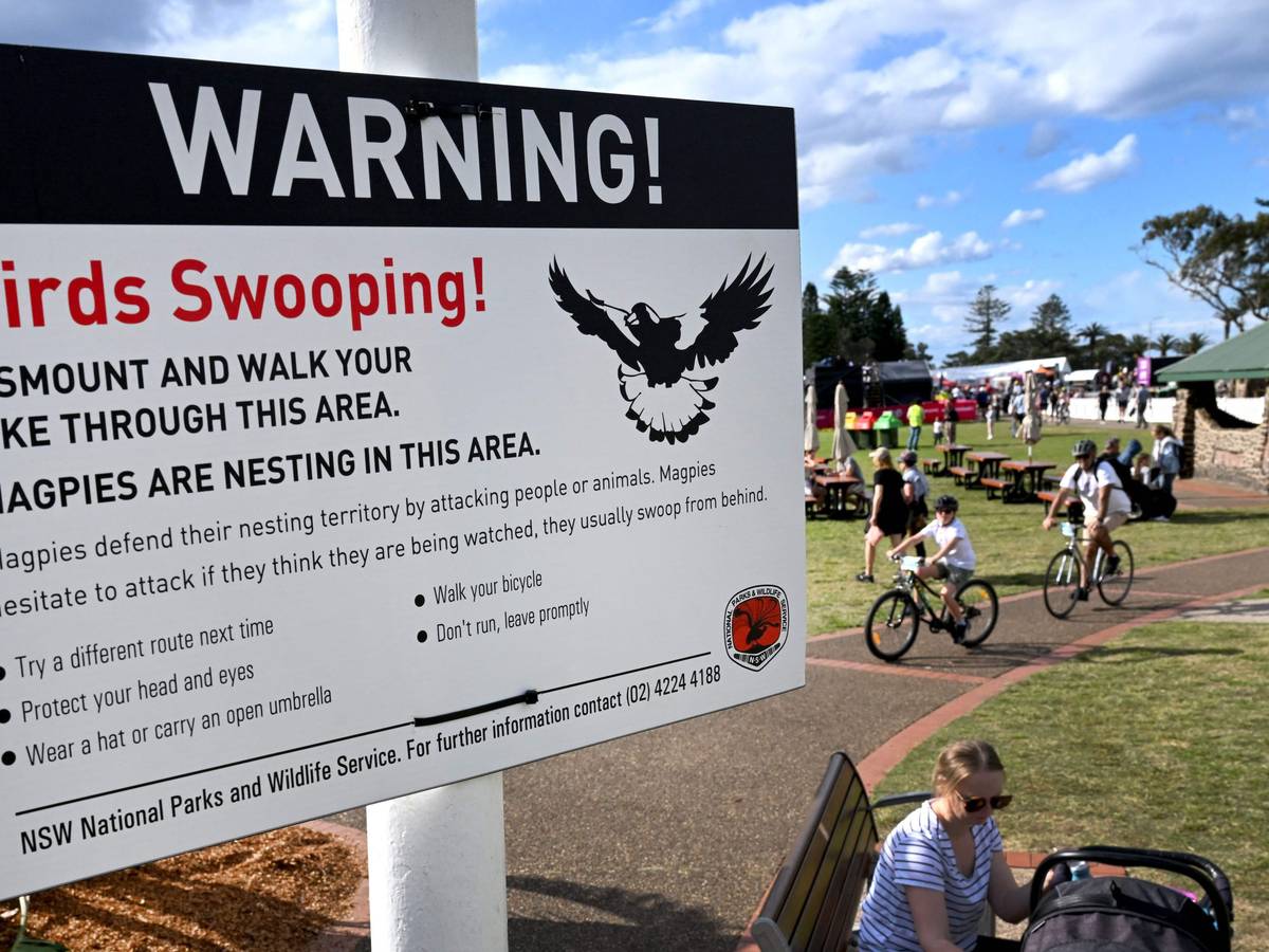 Ein Hinweisschild warnt vor aggressiven Elstern in Australien