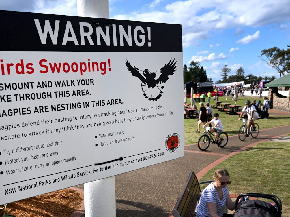 Ein Hinweisschild warnt vor aggressiven Elstern in Australien