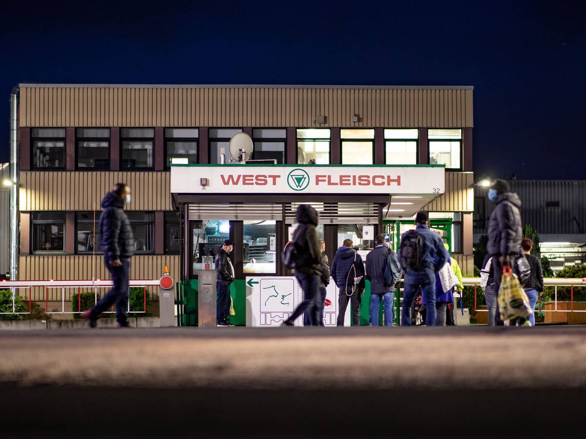 Mitarbeiter betreten das Werksgelände des fleischverarbeitenden Betriebs Westfleisch. Zulieferer des Unternehmens sollen Tierschutzvorgaben nicht beachtet haben. Das Deutsche Tierschutzbüro hat entsprechendes Bild- und Videomaterial veröffentlicht.