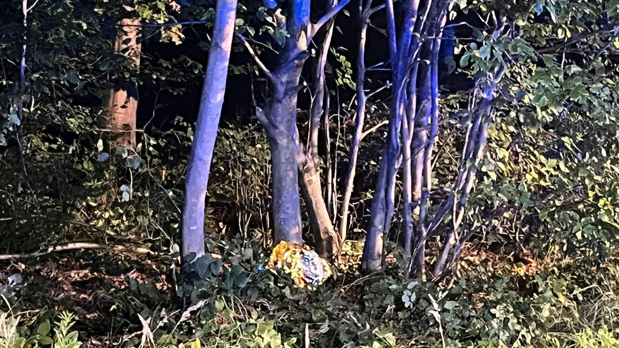 Die Unfallstelle an der Alte Kölner Straße in Porz. Der junge Mann musste von der Feuerwehr aus dem Geäst befreit werden.