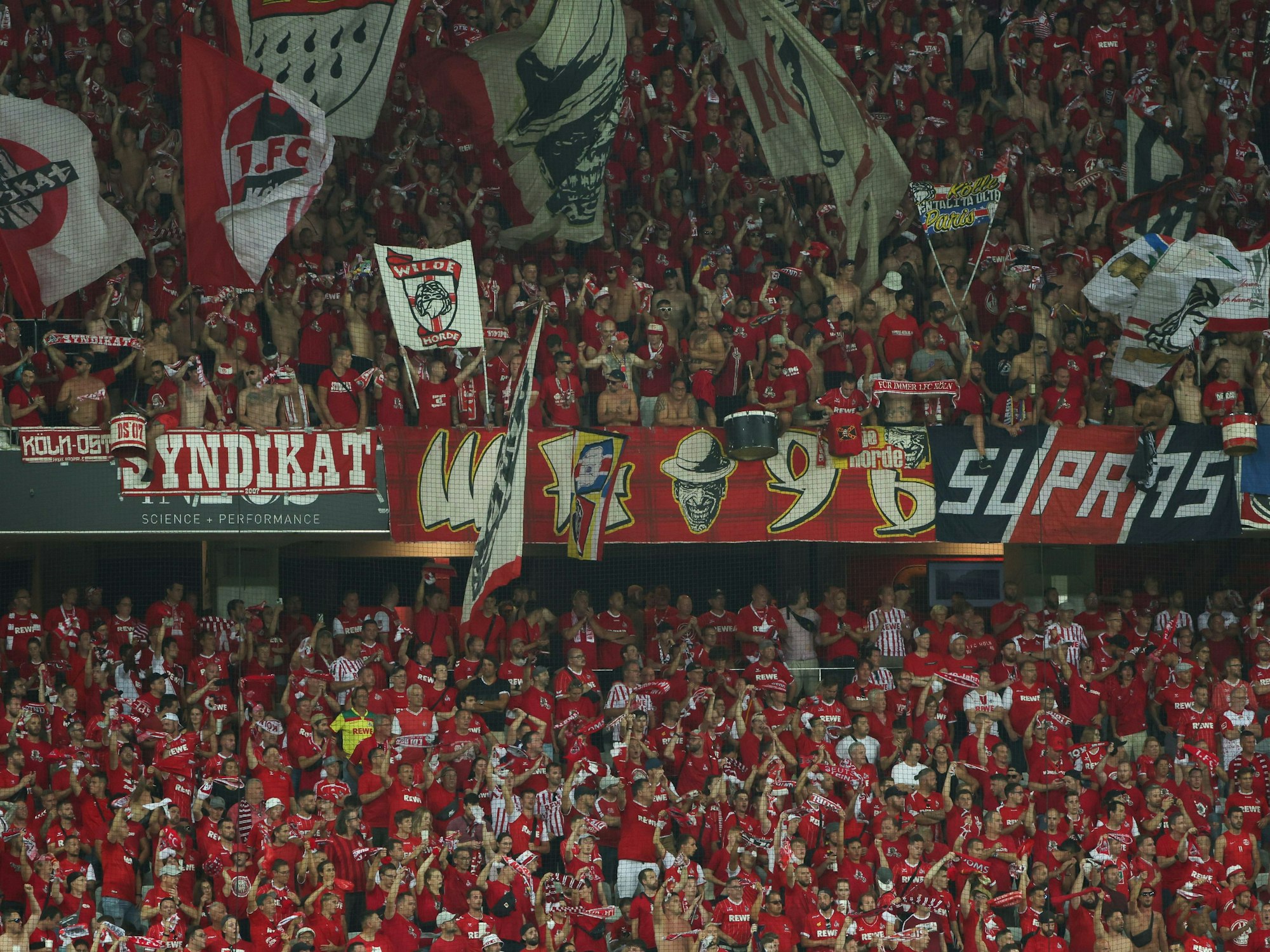 Allianz Riviera Stadion in Nizza: Fans von Köln stehen auf der Tribüne.