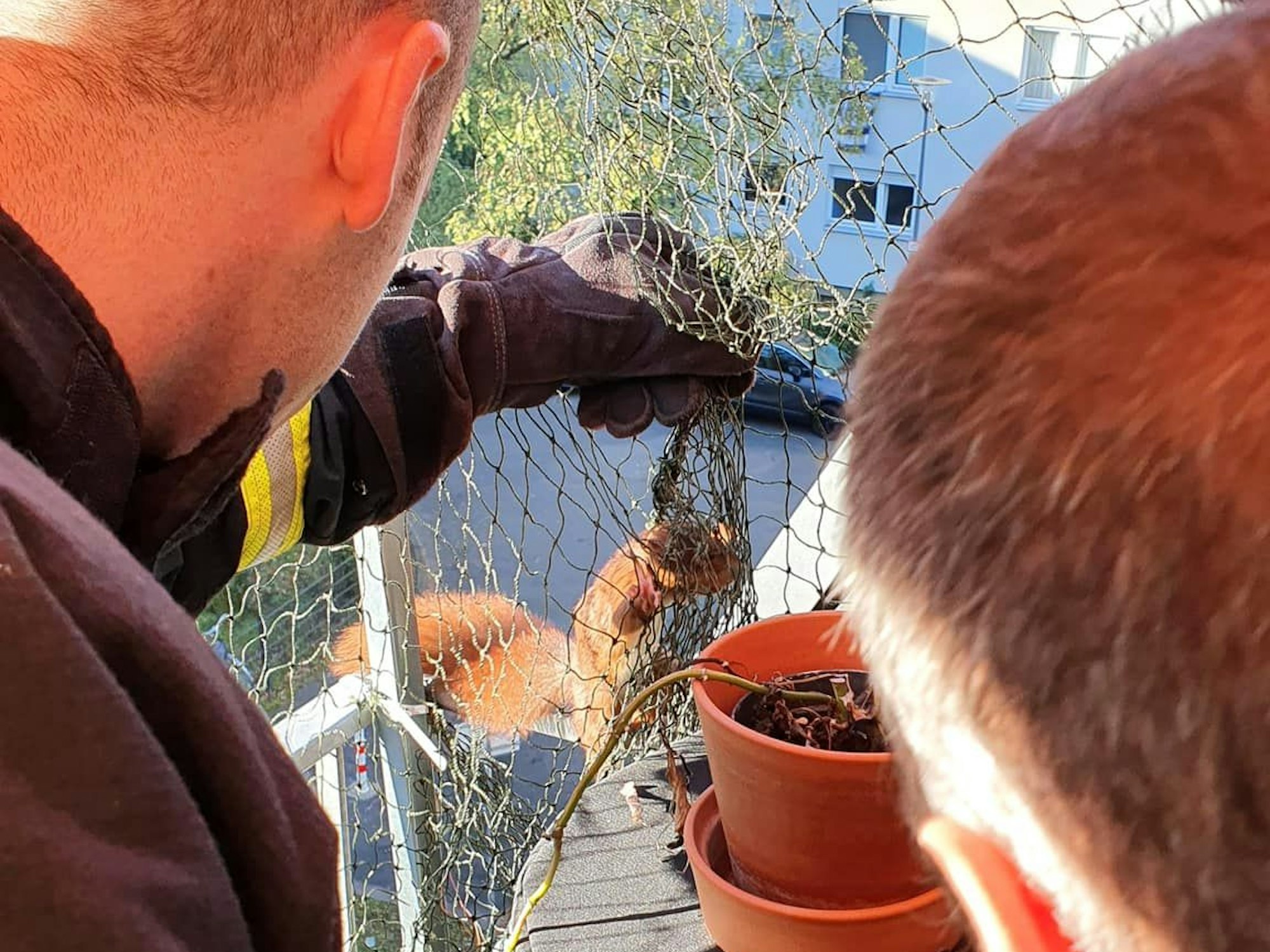 Feuerwehrleute befreien ein Eichhörnchen aus einem Fangnetz.