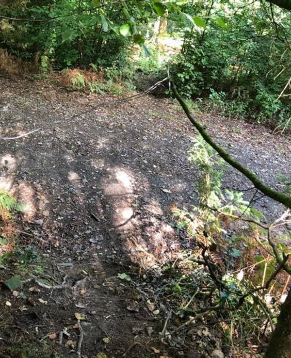 Ein gespanntes Drahtseil über einen Mountainbike-Weg.