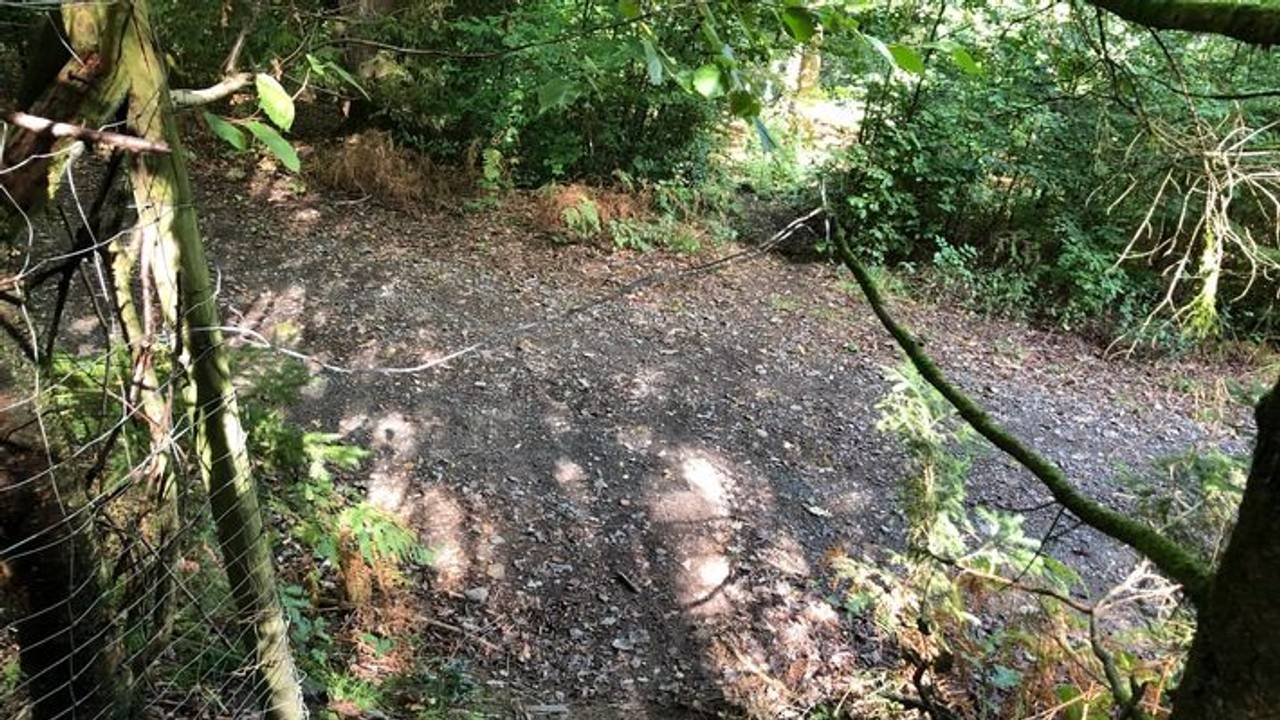 Ein gespanntes Drahtseil über einen Mountainbike-Weg.